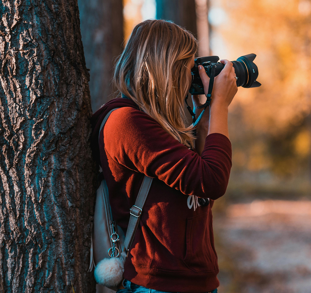 Photography In Keoladeo